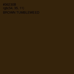 #36230B - Brown Tumbleweed Color Image